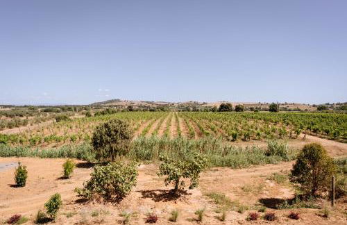 Villa Podere 109 - BioWine - Foto 16