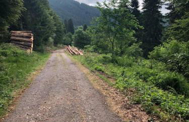 Haus am Scheibenfelsen - Foto 16