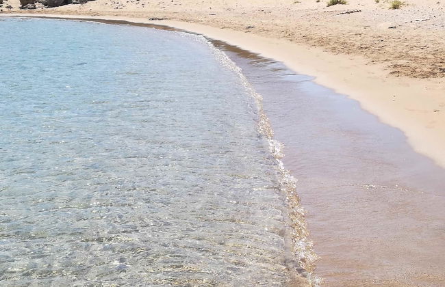 Ktima Grammeno - Foto 20