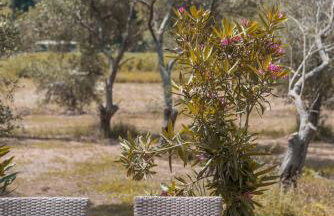 Nikos & Vivi Studios - Foto 28