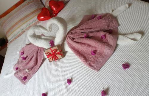 Pousada Chalé na Roça Penedo - Photo 68