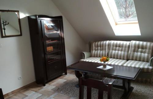 Koci Grzbiet Agroturystyka - Foto 25