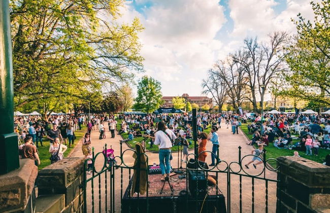 The Sampson - Orange - Foto 28