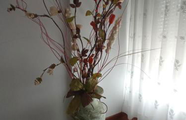 Puente Villanueva dreans - Foto 17