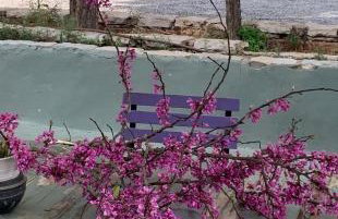 Elaion Guesthouse - Foto 11