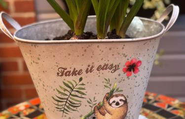 Chloes Retreat - Photo 19