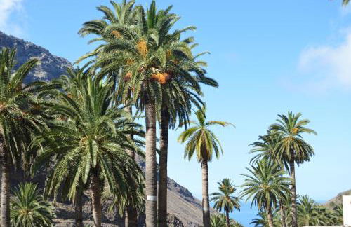 Goyo Gomera Apartments - Foto 31