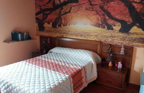 Casa Socorro - Foto 20