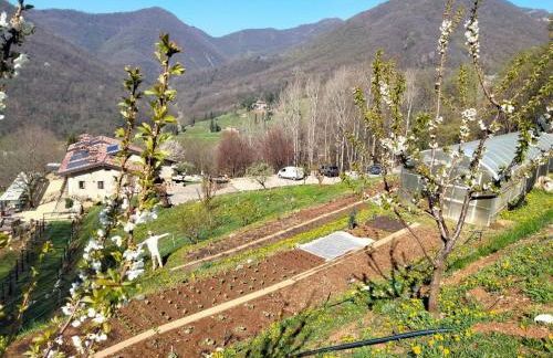 AGRITURISMO CA' FENILE - Foto 23