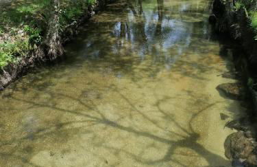 Villa Cantinho dos Avós - Foto 39