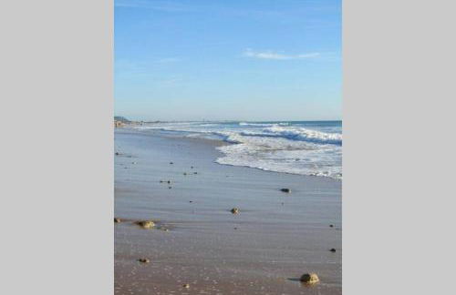 CONIL CENTRO PLAYA - Foto 12