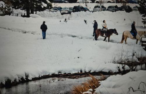 ΑΡΧΟΝΤΙΚΌ Μουζάκι ΚΑΡΔΙΤΣΑ ΤΡΙΚΑΛΑ - Photo 17