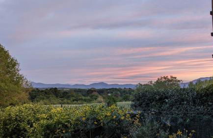 Joli T2 avec jardin proche du château d'Arcangues - Foto 18