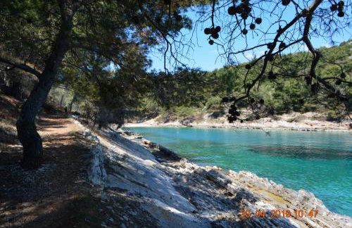 Dreamlodge - Luxe Dalmatian Villa, private pool, parking, mooring, breathtaking sea & mountain view, at 150 m from idyllic private beach - Foto 75