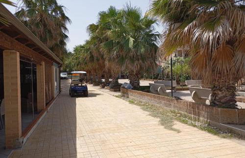 Oasi Relax - Foto 10