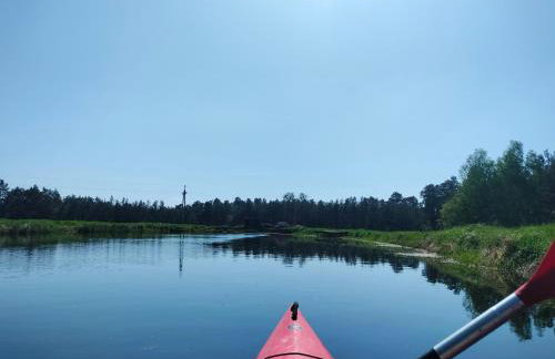 Leśna Chata kuracyjna nad rzeką z sauną w Borach Tucholskich - Foto 42