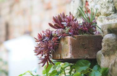 No.33 Coach House - Foto 15