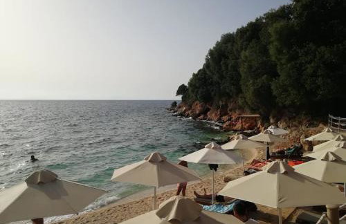 Olive Garden Studio - Foto 48