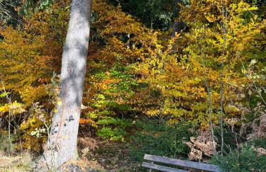 Romantische Ferienwohnung für 5 mit Hund im Erzgebirge - Foto 19