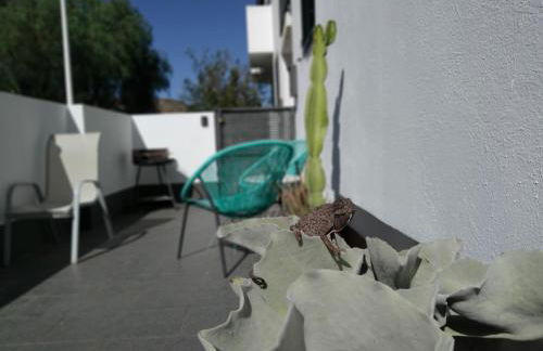 PiedraNegra, apartamento completo con patio, terraza y BBQ - Foto 1