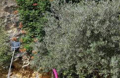 Gîte cévenol avec SPA et Piscine privatifs - Foto 22