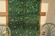 PEDRO & MATIAS Dream - Foto 10