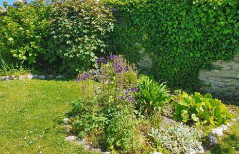Old Vicarage Mortehoe Near Woolacombe 2 x sleeps 4 and 1 x sleeps 10 cottages - Foto 51