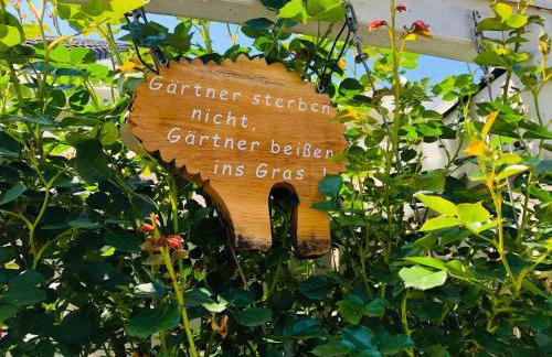 Haus Zeller - Photo 12