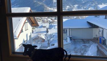 Nagelfluh Hüs - Foto 4