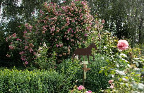 Hof Timmermann - Spatzennest - Photo 15