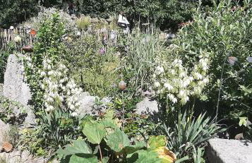 Ferienwohnung Fichtelgebirge - Foto 10