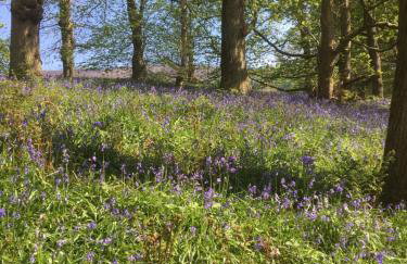 Weardale Cottage - Photo 32