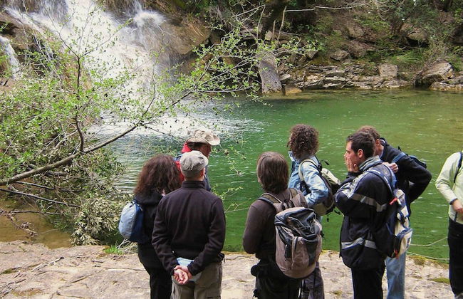 Casa Girasole Agriturismo Le Selvole Tuscany - Foto 31