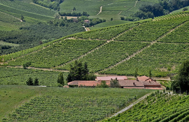 Cascina Tre Botti - Foto 57