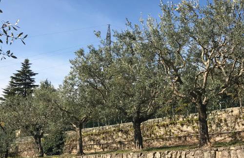 Valpolicella Hills - Foto 11