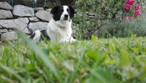 Mair am Graben Farm Chalets - Foto 3