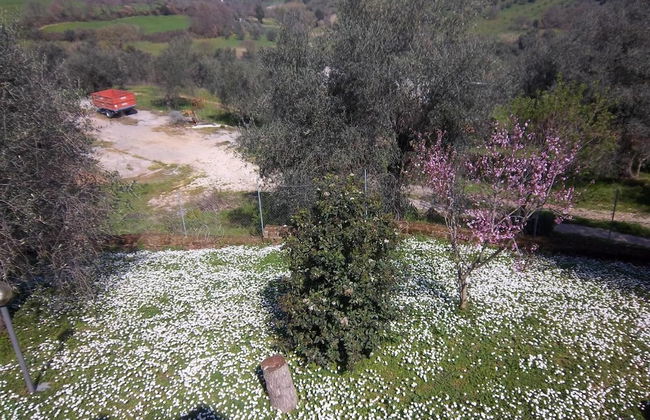 Agriturismo Norianino - Photo 37