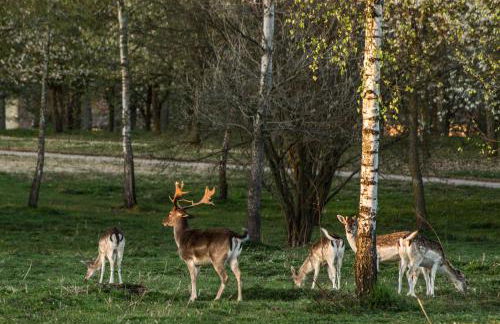 Agriturismo I Leprotti - Photo 45