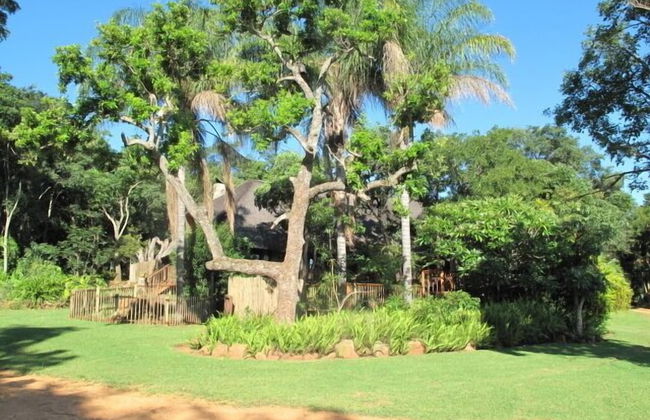 Caracal Lodge - Foto 36