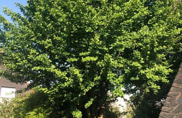 Gemütliche Fewo Nähe Hachenburg, Bad Marienberg - Foto 19