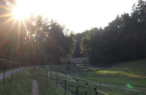 Heimerlmühle - Foto 18