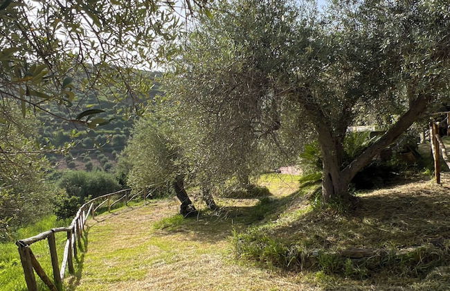 Agrolea Rodí Milici - Foto 50