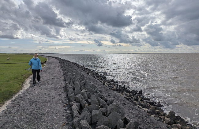 Penthouse am Nordstrand auf dem Deich - Foto 36