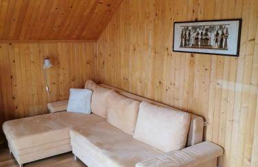 Nina Kopalino - Foto 20