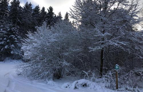 Ferienhaus am Stausee Bitburg - Foto 51