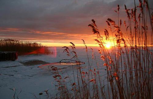 Pension Café Knatter - Foto 11