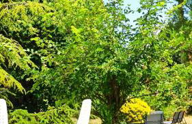 Borgo Petraio - Foto 34