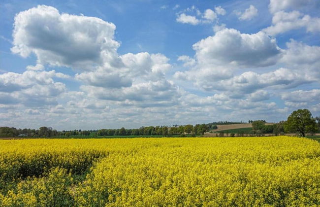 Holiday Home in Germany With Garden Terrace - Foto 20