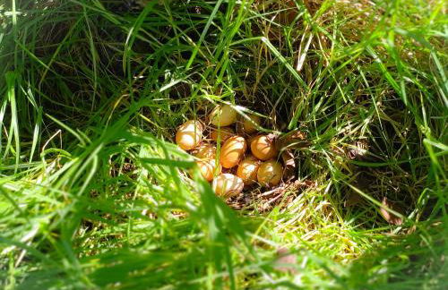 La casa de La Cartita - Foto 26