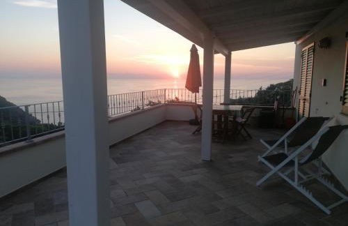 L' Elicriso - Foto 5